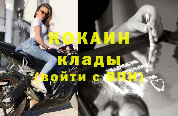 дживик Абинск