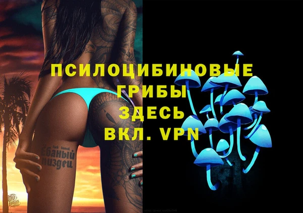 дживик Абинск