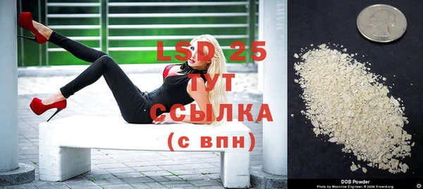дживик Абинск