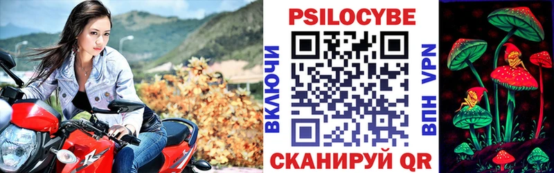 Псилоцибиновые грибы мицелий  наркошоп  ссылка на мегу маркетплейс  Полярный 